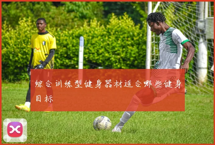 综合训练型健身器材适合哪些健身目标